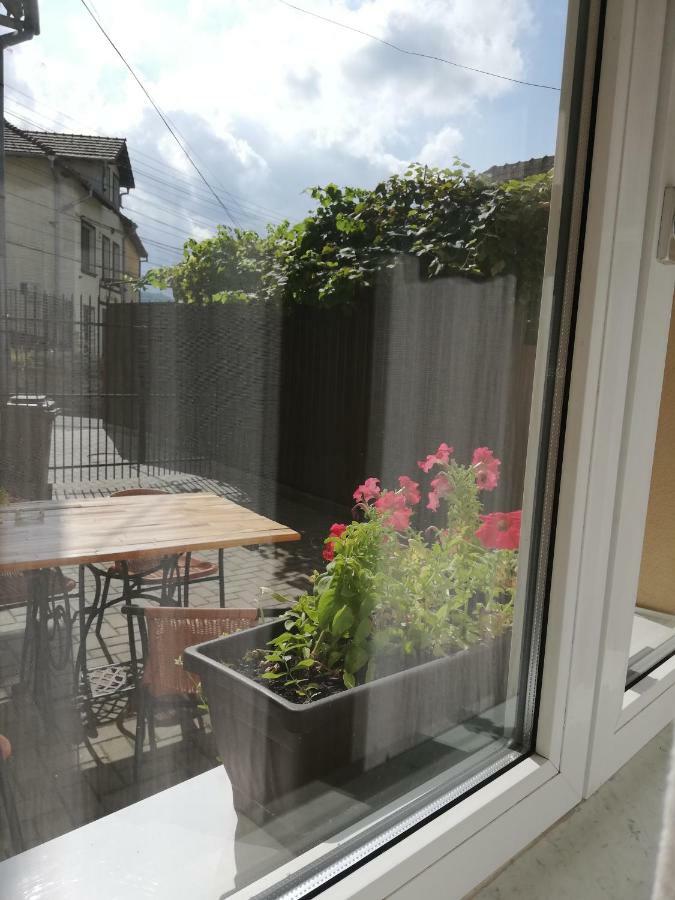 Vintage Apartment - Ultracentral, 2 Dormitoare Σιγκισοάρα Εξωτερικό φωτογραφία